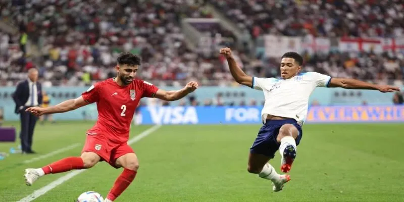 Bóng đá số cung cấp dữ liệu theo thời gian thực